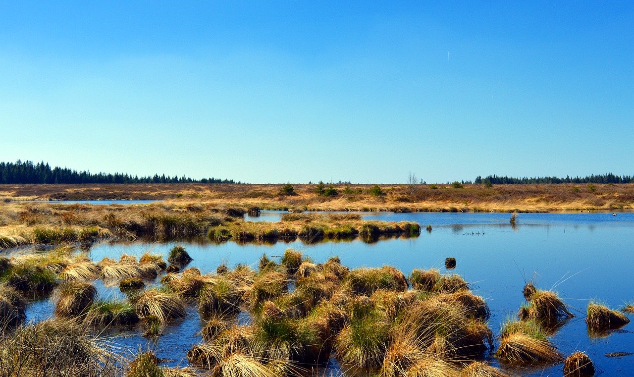 Peat-Free Compost | Help save peatlands and reduce flooding 