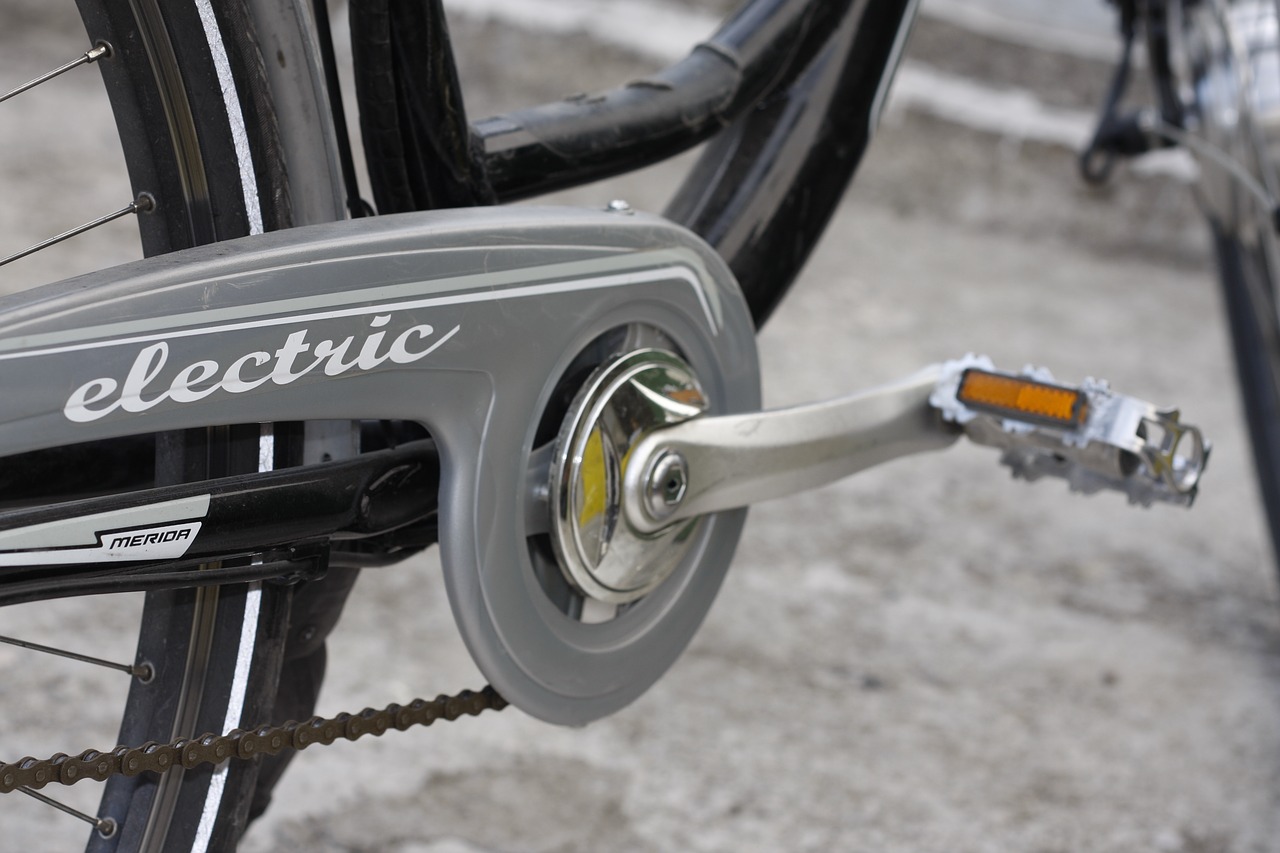 Eco go electric online bike